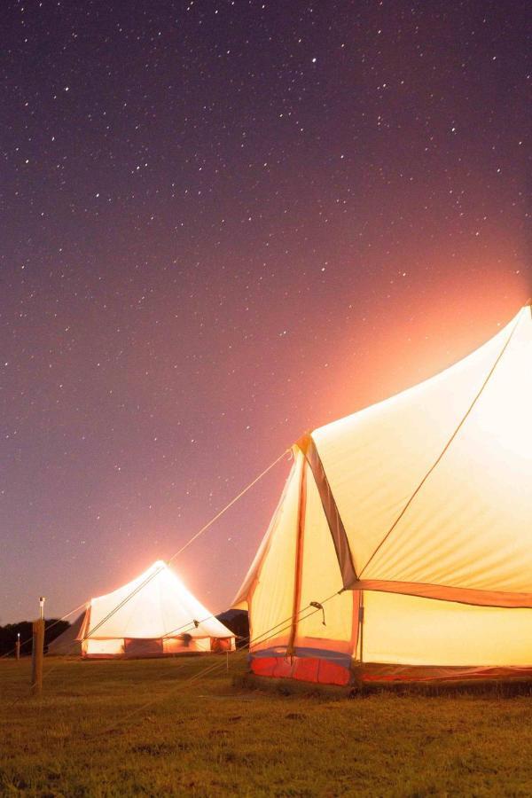 Coonawarra Bush Holiday Park Exterior photo